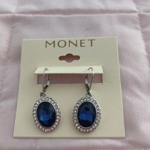Blue/White Oval Drop Earrings